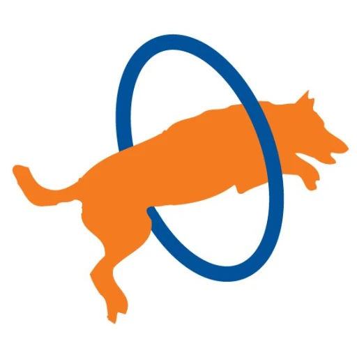 Zoom Room Dog Training (Winter Park)