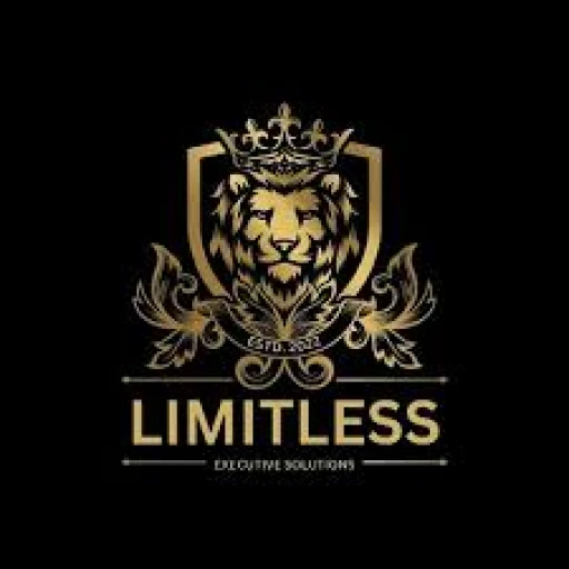 Limitless Executive SOlutions
