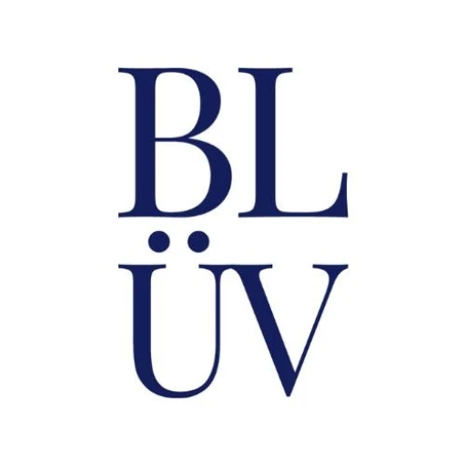 BLUV Media & Events