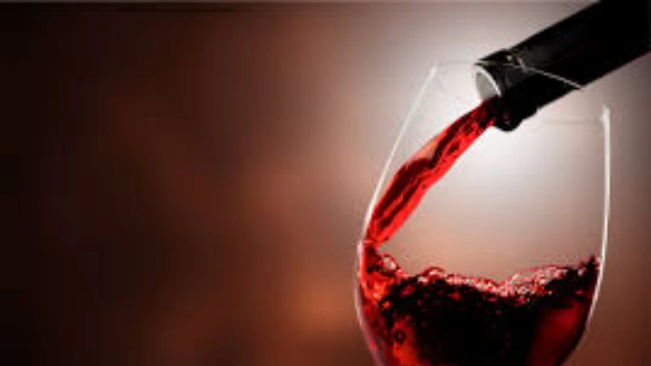Winedown Wednesday @ Vines Grille & Wine Bar